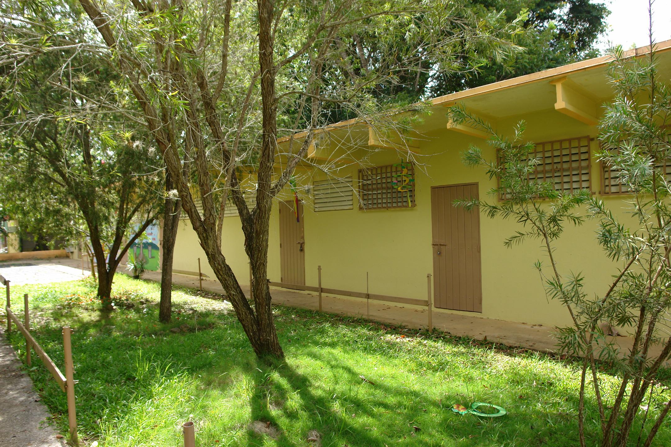 FDII - Aibonito - 2010 00010